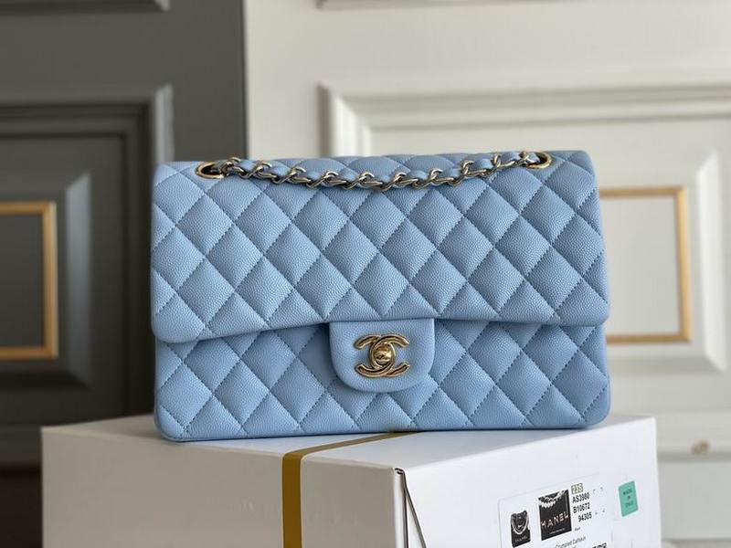 Chanel Handbags 433